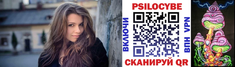 Галлюциногенные грибы Psilocybe  Нелидово 